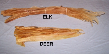 Sinew, Real Deer or Elk